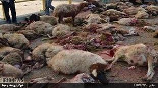 از مرگ چوپان در گل و لای تا دستگیری عاملان پرتاب مواد آتش زا به خودروی پلیس