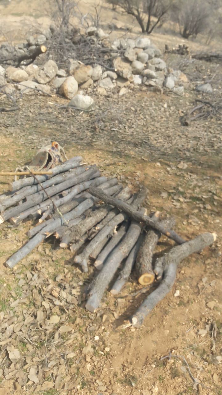 دستگیری متخلفان محیط زیستی در منطقه حفاظت شده 