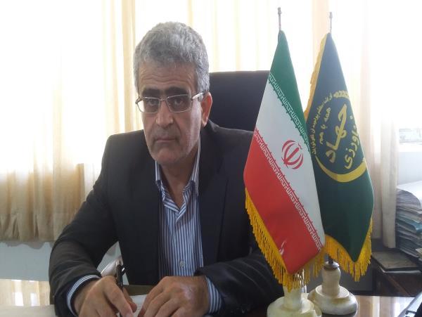 غیر قابل کشت بودن بیش از 2 هزار هکتار شالیزاری های میاندرود