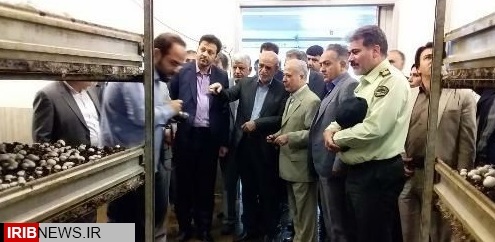 مشکلات واحدهای صنعتی شهرستان ملارد بررسی شد