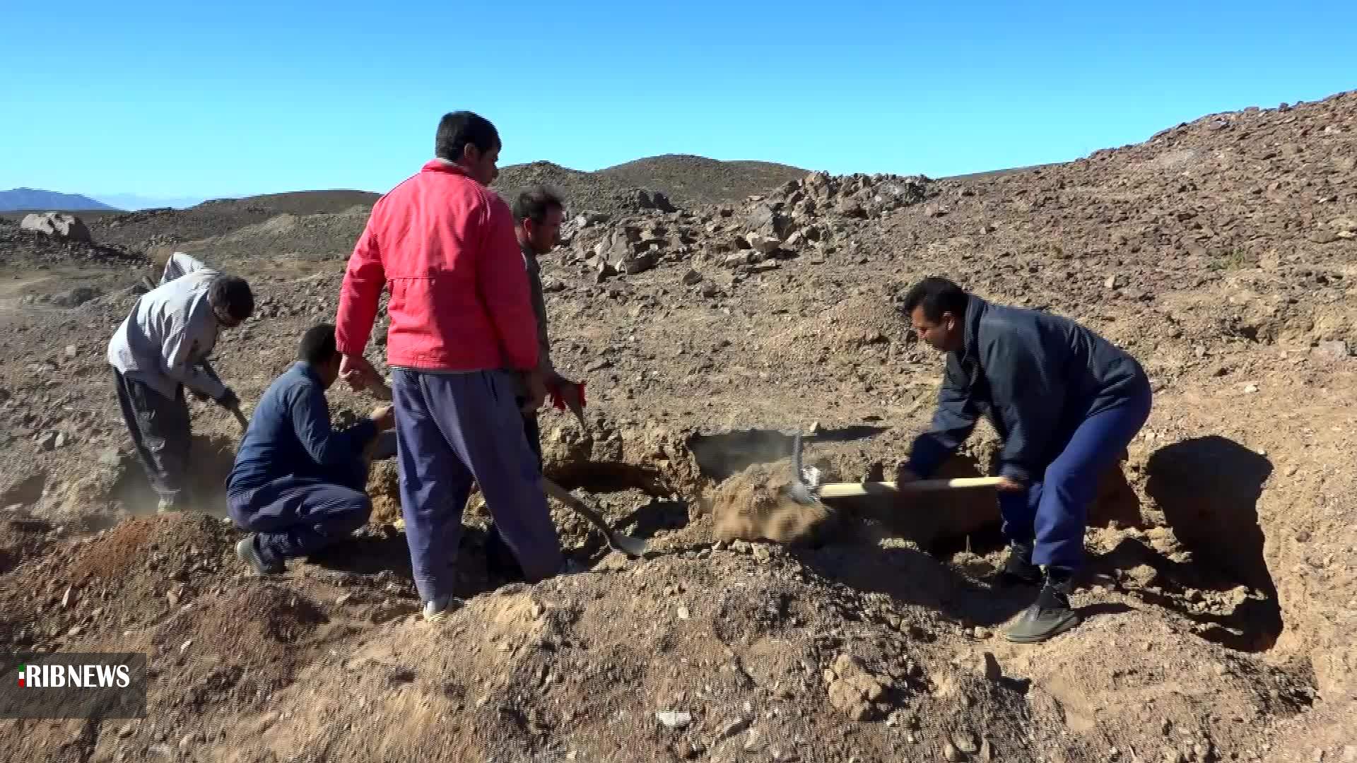 گزارش مکتوب ... سنگ&zwnj;ها نان می&zwnj;شود،نان بوی خامی می دهد