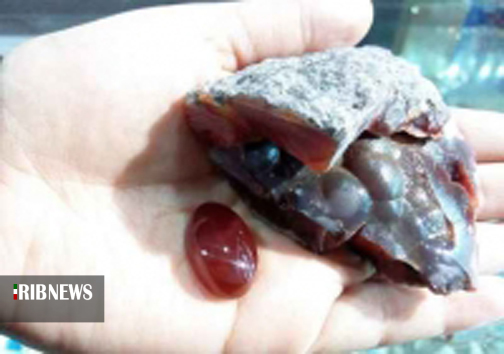 گزارش مکتوب ... سنگها نان میشود،نان بوی خامی می دهد گزارش مکتوب ... سنگها نان میشود،نان بوی خامی می دهد