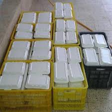 توزیع غذای گرم در نی ریز