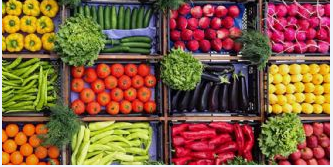 تفاهم ۸.۱ میلیارد دلاری ایران و چین در بخش کشاورزی