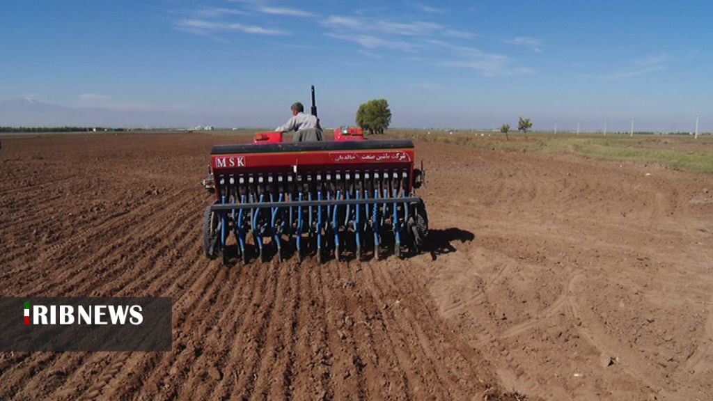 ۱۸۰ هزار هکتار از اراضی زراعی اردبیل زیر کشت پاییزه