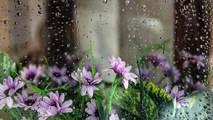 پیش بینی بارش های رگباری خفیف و پراکنده باران در زنجان پیش بینی بارش های رگباری خفیف و پراکنده باران در زنجان