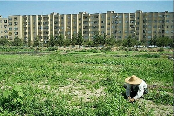 شناسایی ۱۹ تغییرکاربری غیرمجاز در اراضی کشاورزی خوزستان