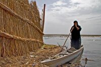 راهیابی مستند کارون_اهواز به جشنواره بین‌المللی محیط زیست مصر