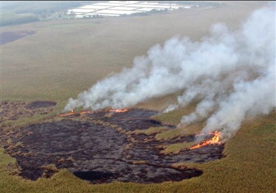 هشدار وقوع آتشسوزی تالابها با آغاز فصل گرما هشدار وقوع آتشسوزی تالابها با آغاز فصل گرما