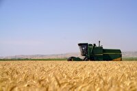 پیش‌بینی تولید ۵۷۰ هزار تن گندم در استان اردبیل