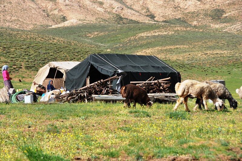 سهم بیش از ۶۰۰ میلیارد ریالی مناطق عشایری لالی از اعتبارات حق آلایندگی