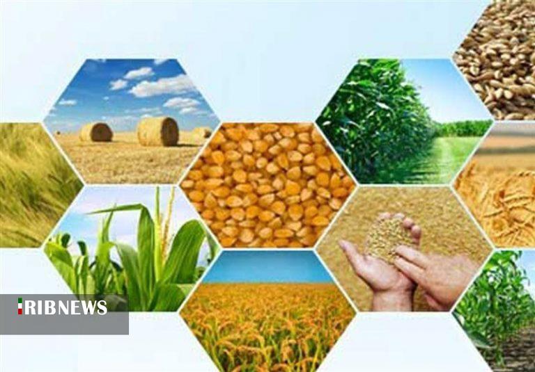 تدوین برنامه ملی کاهش هزینه تولید در بخش کشاورزی