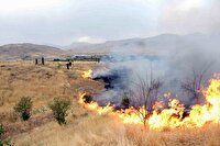 آتش سوزی دو هکتار از مراتع دالانکوه در تیران وکرون