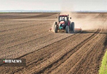 کشاورزان بر اساس مقدار آب در اختیار نسبت به کشت پاییزه اقدام کنند 