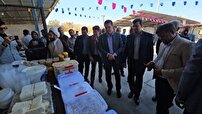 جشنواره نان ومحصولات لبنی در سیرجان