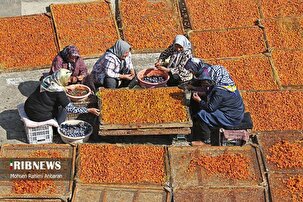 پشت بام‌های طلایی در شهر خور زبرخان، ماسوله خراسان