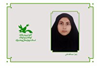 پیوستن نوجوان چهارمحال و بختیاری به باشگاه ملی داستان‌نویسی «قاف»