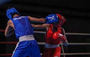 مسابقات بوکس المپیاد استعداد‌های برتر کشور