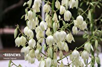 پیش بینی افزایش نسبی دما در طول روز ۶ آبان