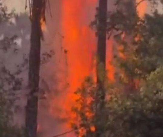 آتش سوزی در باغ تفریحی چشمه بلقیس چرام آتش سوزی در باغ تفریحی چشمه بلقیس چرام