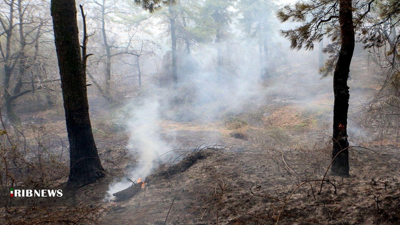 انجام لکه‌گیری آخرین کانون آتش سوزی جنگل‌های دیزمار آذربایجان‌شرقی
