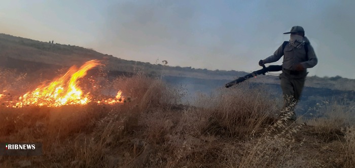 تلف شدن 100 راس دام در آتش سوزی کهگیلویه