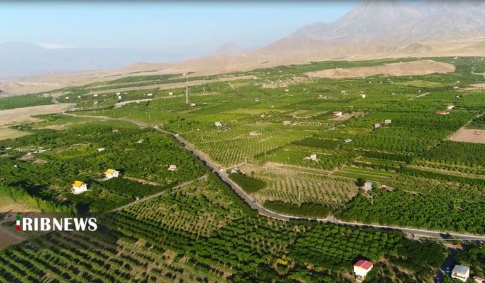 باغهای میوه آذربایجان شرقی