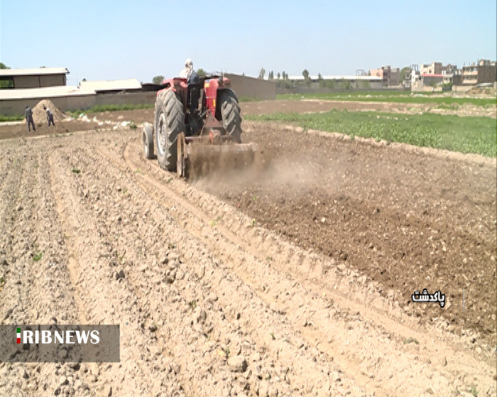 آماده سازی زمین برای کشت پائیزه سبزی