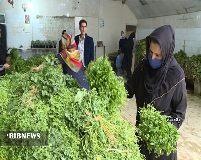 مراکز فروش سبزی در روستای آلوئک