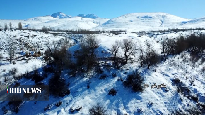 طبیعت برفی دره دلربای خیاوچایی مشگین شهر